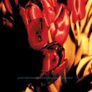 A strangely isolated place